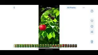 A for apple and ant ￼