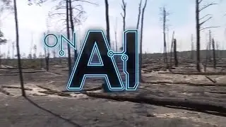 AI drone in Germany detects and monitors wildfires | REUTERS