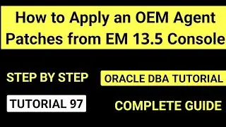 Как применить патч OEM Agent из консоли OEM 13.5 &mdash; пошаговое руководство