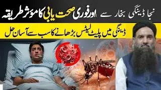 Dengue 🤍Treatment: Best Natural Diet to Increase Platelet Count /💫/ Ilaaj or wazifa ilaaj