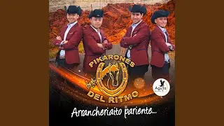 El Huasito Pikar&oacute;n