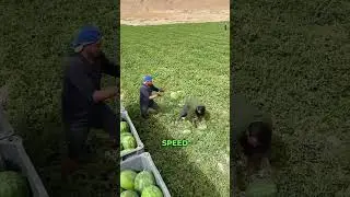Skilled Worker 😨