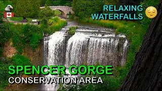 Spencer Gorge Conservation Area 🌲 Webster's Falls, Tew Falls & Dundas Peak 🌳 Hamilton, Ontario