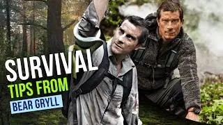 Bear Grylls Shares His Top Survival Tips for Staying Alive Outdoors