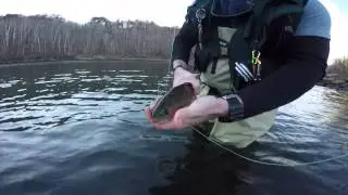 Cumberland River Fly Fishing - Kentucky - February 2015 HD GoPro