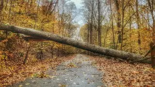 Your Obstacles are the Path, with Jonathan Foust