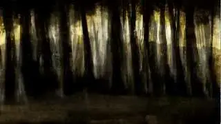The Little Unsaid - Through the Fields (Official Video)