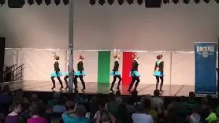 Rince Nua Level 5 Elite Team Slip Jig Irish Dance - Irish Fair of Minnesota 2018