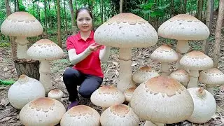 Harvesting 1000+Kg Straw Mushroom In Forest Goes To Market Sell, Cook Delicious Dishes With Mushroom