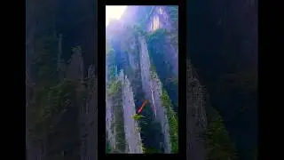 Nature&rsquo;s Miracle: A Solitary Pine Thrived on a Blade-Like Mountain&mdash;Where Does It Get Life? Ton