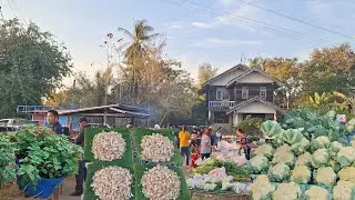 ตลาดเช้าบ้านนาเจริญ ตำบลขามป้อม อำเภอเขมราฐจังหวัดอุบลราชธานี