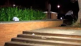 P-Rod and Mike Taylor - Transworld In Bloom Village Psychic Remix