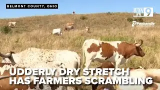 Ohio Valley farmers face economic challenges amid historic drought