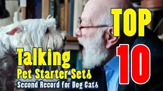 Talking Pet Starter Set | Pets Communication System For Training