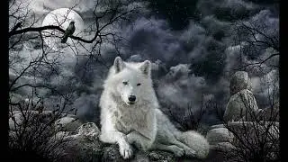 White Wolf at night Painting | Canvas painting | TV art screen saver