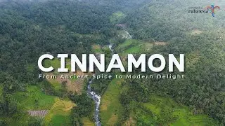 Indonesia Spice Up The World | Cinnamon: Indonesia’s Fragrant Gift to the World