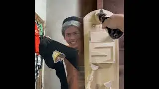 🤣👌👌👌2025 pov Must-Watch Crazy Clips Compilation #humor #fypシ #pov #fyp #foryou 😍😜