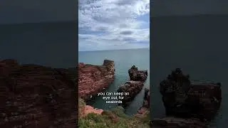 This is the Arbroath Cliff Trail! #scotland #travel #scotlandtravel