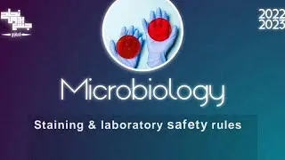 Pract 1, Staining & Laboratory safety rules , Microbiology