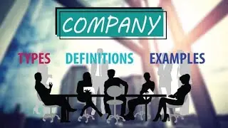Type and categories of company