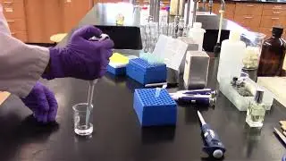 Chem 361 Introduction Experiment