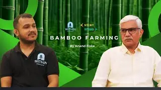 Bamboo Farming & The Future of Green Gold | Anand Fiske on Climate Change Solutions