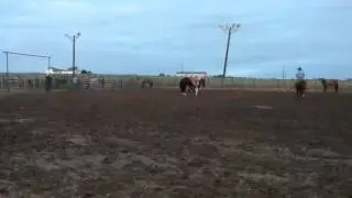 Sanger ranch rodeo 9/13/14 6