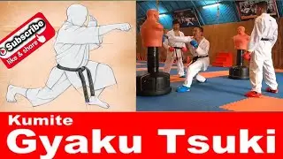 middle Punch/karate fight techniques/how to make speed punch