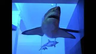 VIDEODIARY VIDEODIARIO 18 settembre 2014. Auckland museums. roundtheworld day 65, 3o in New Zealand