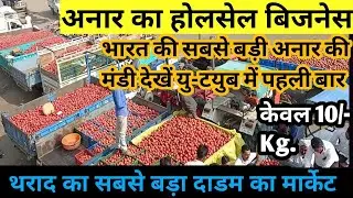 अनार का होलसेल बिज़नेस करें | Pomegranate wholesale business ideas | best business ideas |