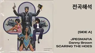 [전곡해석] JPEGMAFIA & Danny Brown - SCARING THE HOES (SIDE A)
