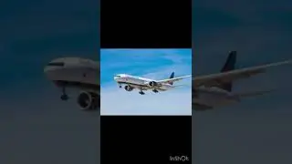 Pearl Harbor For Dummies