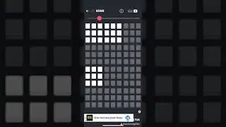 Bond (Launchpad)