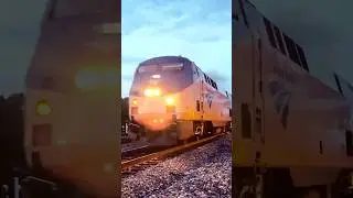 Amtrak Carolinian Train August 13, 2025