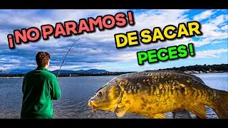 URBAN CARPFISHING EN INVIERNO