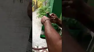 tutorial de como se abre uma CIDRA ou champanhe.
