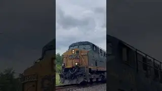 The Happy Horn Honker!