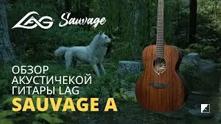 Обзор акустической гитары LAG SAUVAGE A