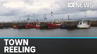 Stanley's tightknit fishing community in shock after 10yo boy pulled off boat by a shark | ABC News