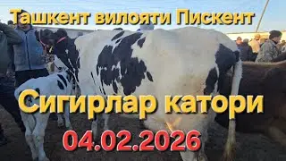 СИГИРЛАР СОТИЛАДИ ТОШКЕНТ ВИЛОЯТИ ПИСКЕНТ 0402.2026