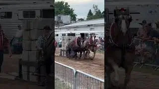 13250 lbs Bear Lake Days horse power horse pulls most weight ever at this location