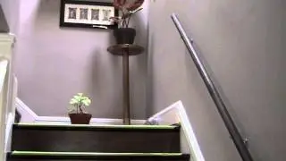 (8) Safe At Home - Stairway Safety