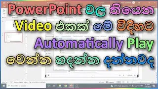 How to set auto play video in Power Point | Play a video automatically in a Slide Show | Sinhala