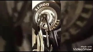 Shadow 600,  Removendo o banco