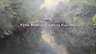 El coronavirus y Félix Rodríguez de la Fuente, audio 40 años atrás. Naturalista y futurólogo.