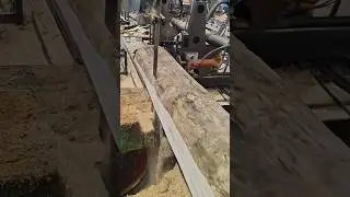 Wood processing factory work process #wood #cutting #process