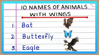 10 Names of Animals with Wings