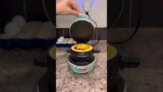 My most used kitchen gadgets! Or small appliances? Either way, I use them the most! #asmr #gadgets
