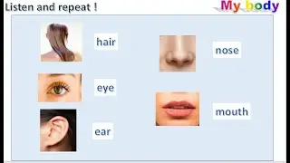 connect plus kg1 term1 unit1 my body 0