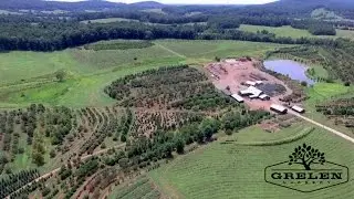 Bird's Eye View of Grelen Nursery